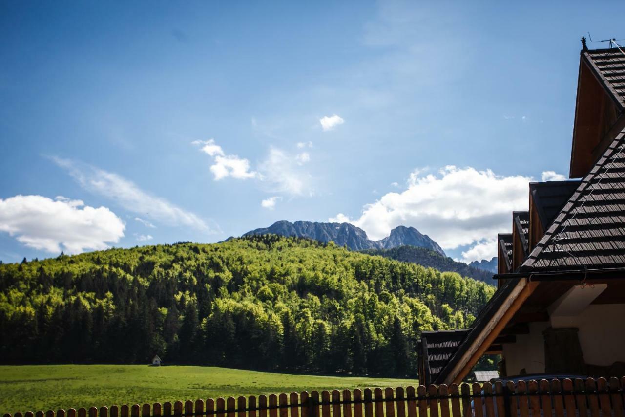 Willa Mnich Zakopane Dış mekan fotoğraf